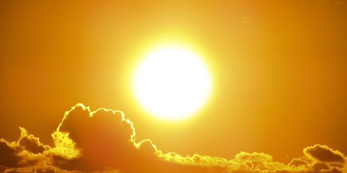 canicule